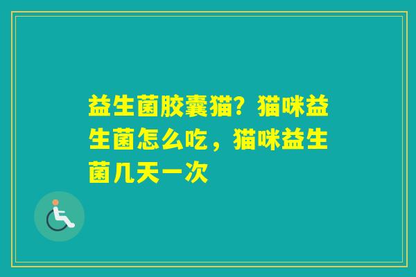 益生菌胶囊猫?猫咪益生菌怎么吃,猫咪益生菌几天一次 益生菌胶囊猫?猫咪益生菌怎么吃,猫咪益生菌几天一次