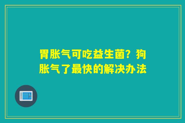 胃可吃益生菌？狗了快的解决办法