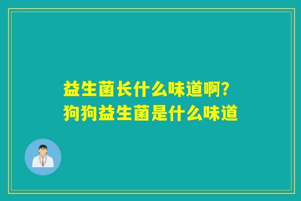 益生菌长什么味道啊？狗狗益生菌是什么味道