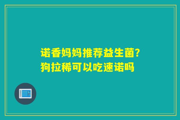 诺香妈妈推荐益生菌？狗拉稀可以吃速诺吗