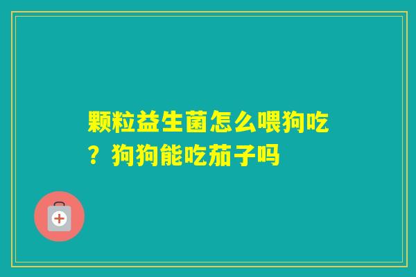 颗粒益生菌怎么喂狗吃？狗狗能吃茄子吗
