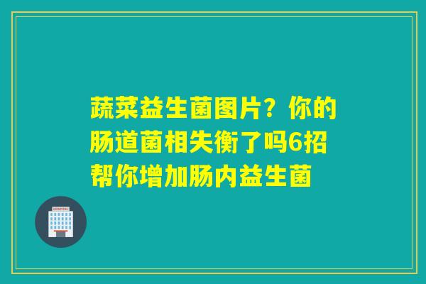 蔬菜益生菌图片？你的肠道菌相失衡了吗6招帮你增加肠内益生菌