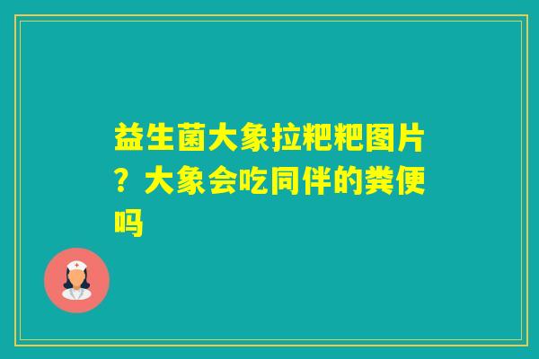 益生菌大象拉粑粑图片？大象会吃同伴的粪便吗