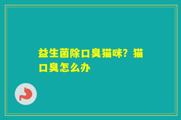 益生菌除猫咪?猫怎么办 益生菌除猫咪?猫怎么办