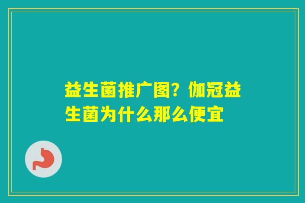 益生菌推广图？伽冠益生菌为什么那么便宜