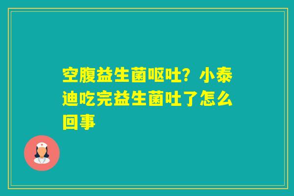 空腹益生菌？小泰迪吃完益生菌吐了怎么回事