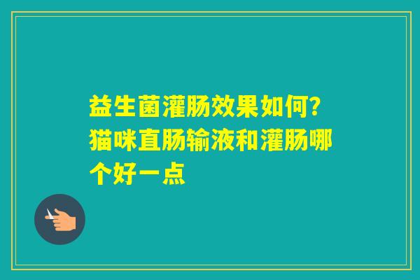 益生菌灌肠效果如何？猫咪直肠输液和灌肠哪个好一点