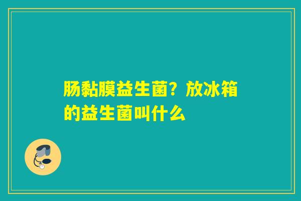 肠黏膜益生菌？放冰箱的益生菌叫什么