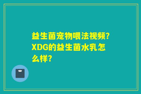 益生菌宠物喂法视频？XDG的益生菌水乳怎么样？