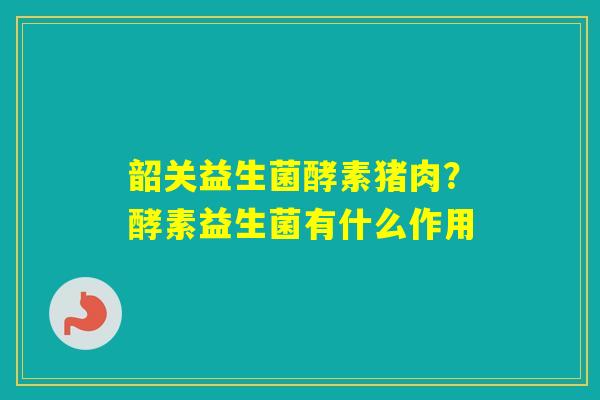 韶关益生菌酵素猪肉？酵素益生菌有什么作用