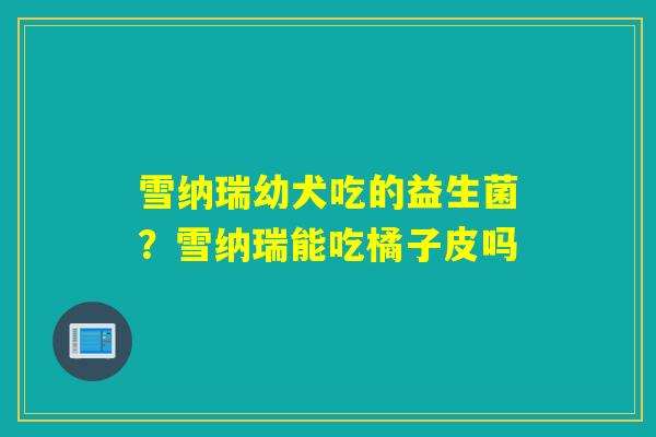 雪纳瑞幼犬吃的益生菌？雪纳瑞能吃橘子皮吗