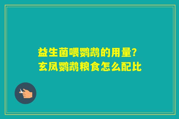 益生菌喂鹦鹉的用量？玄凤鹦鹉粮食怎么配比