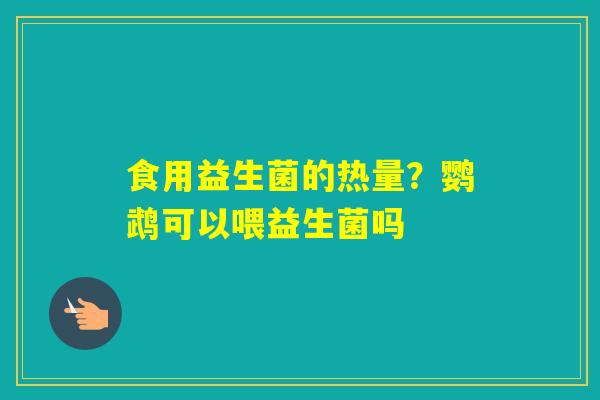 食用益生菌的热量？鹦鹉可以喂益生菌吗