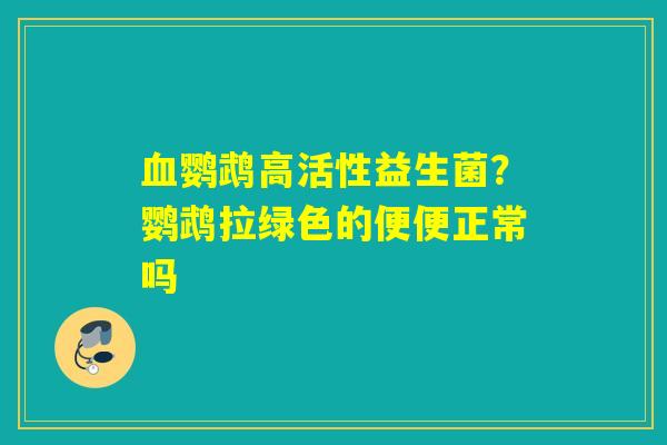鹦鹉高活性益生菌？鹦鹉拉绿色的便便正常吗