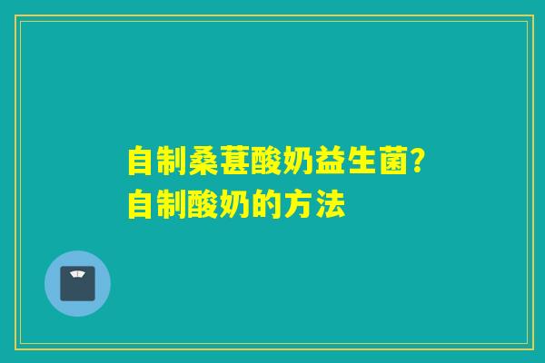 自制桑葚酸奶益生菌?自制酸奶的方法 自制桑葚酸奶益生菌?自制酸奶的方法