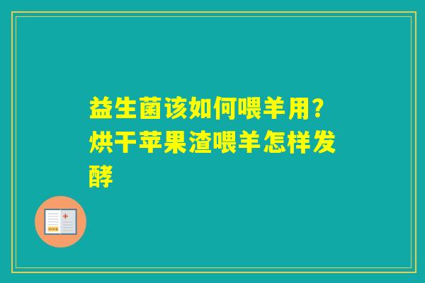益生菌该如何喂羊用？烘干苹果渣喂羊怎样发酵
