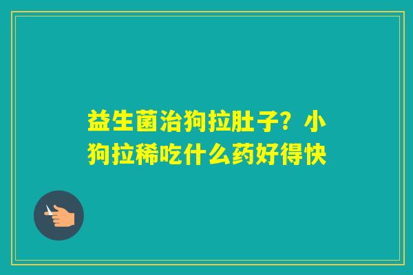 益生菌狗拉肚子？小狗拉稀吃什么药好得快