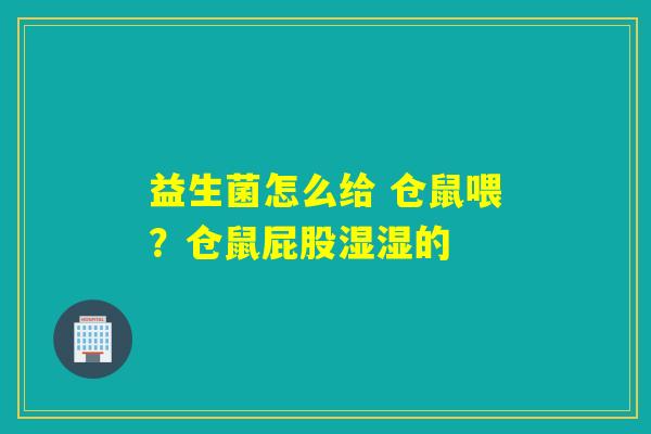 益生菌怎么给 仓鼠喂？仓鼠屁股湿湿的
