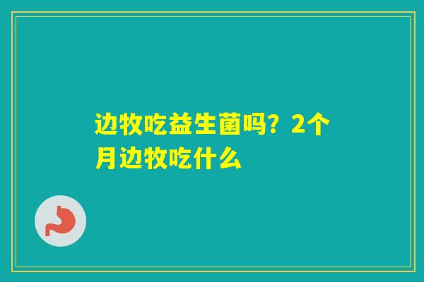 边牧吃益生菌吗？2个月边牧吃什么