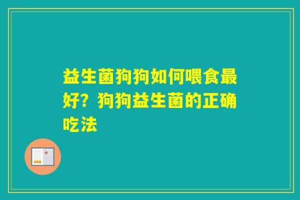 益生菌狗狗如何喂食好？狗狗益生菌的正确吃法
