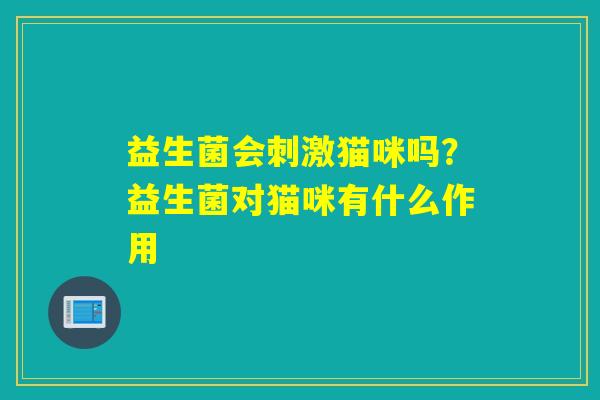 益生菌会刺激猫咪吗？益生菌对猫咪有什么作用