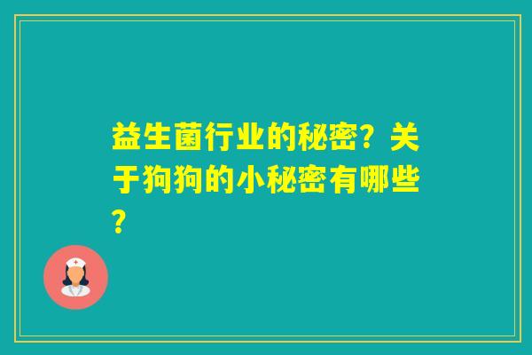 益生菌行业的秘密？关于狗狗的小秘密有哪些？