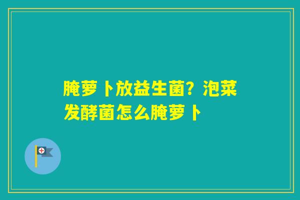 腌萝卜放益生菌？泡菜发酵菌怎么腌萝卜