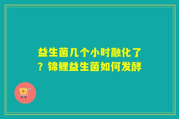 益生菌几个小时融化了？锦鲤益生菌如何发酵