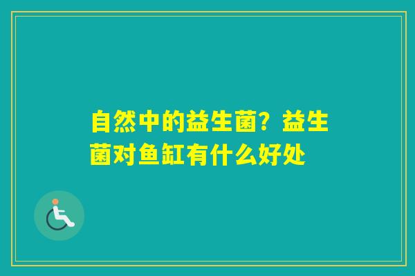 自然中的益生菌？益生菌对鱼缸有什么好处