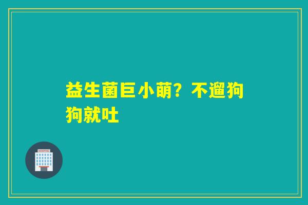 益生菌巨小萌？不遛狗狗就吐