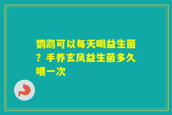 鹦鹉可以每天喝益生菌？手养玄凤益生菌多久喂一次
