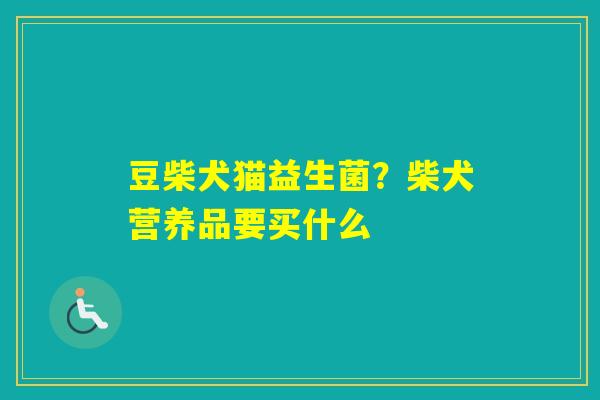 豆柴犬猫益生菌？柴犬营养品要买什么