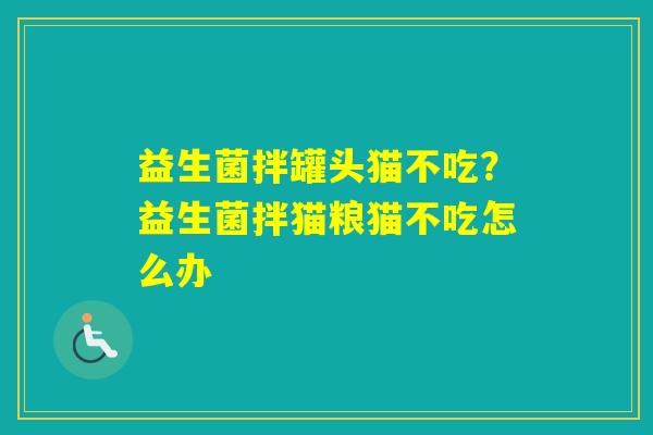 益生菌拌罐头猫不吃？益生菌拌猫粮猫不吃怎么办