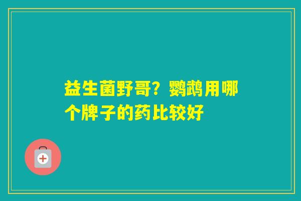 益生菌野哥？鹦鹉用哪个牌子的药比较好