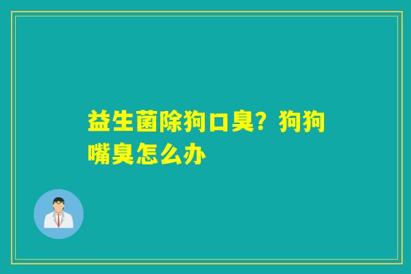 益生菌除狗?狗狗嘴臭怎么办 益生菌除狗?狗狗嘴臭怎么办