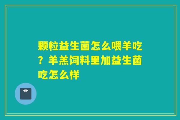 颗粒益生菌怎么喂羊吃？羊羔饲料里加益生菌吃怎么样