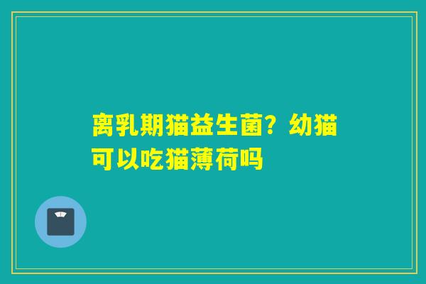 离乳期猫益生菌?幼猫可以吃猫薄荷吗 离乳期猫益生菌?幼猫可以吃猫薄荷吗