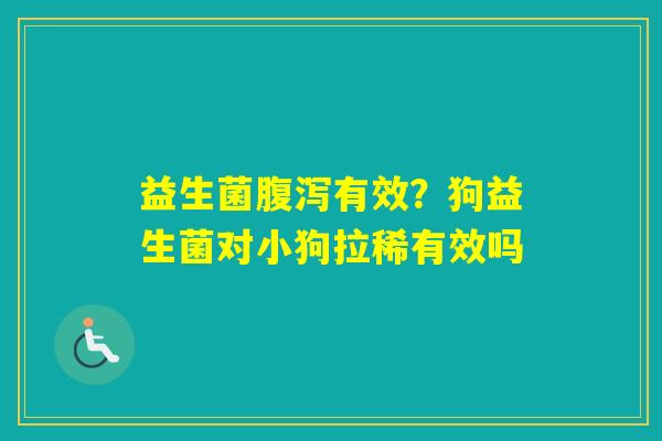 益生菌有效？狗益生菌对小狗拉稀有效吗