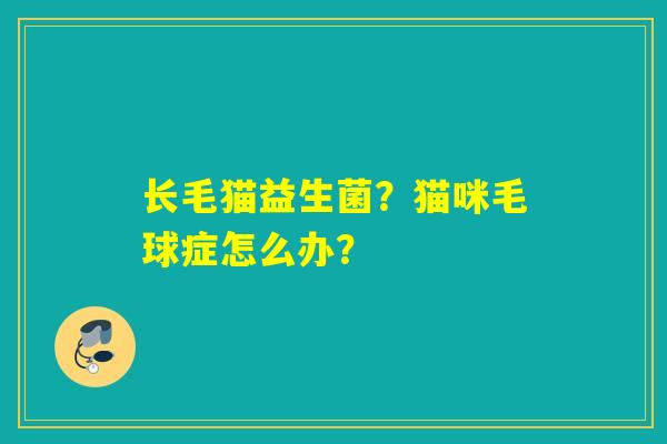 长毛猫益生菌？猫咪毛球症怎么办？