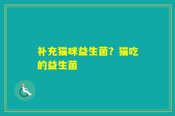 补充猫咪益生菌？猫吃的益生菌