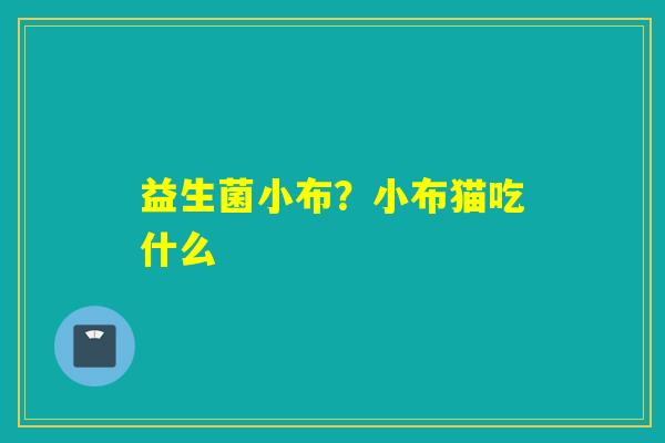 益生菌小布？小布猫吃什么