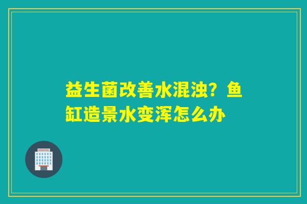 益生菌改善水混浊？鱼缸造景水变浑怎么办