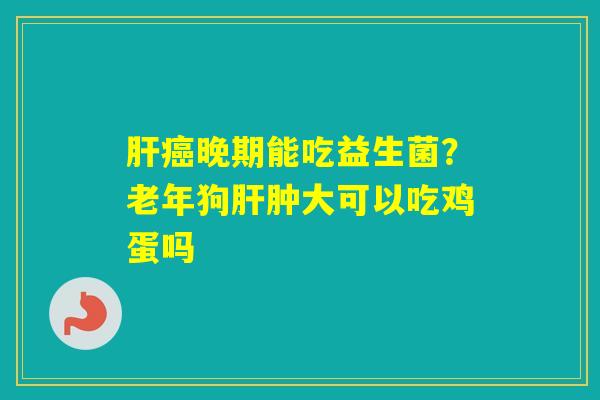 晚期能吃益生菌？老年狗肿大可以吃鸡蛋吗