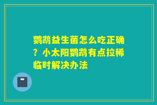 鹦鹉益生菌怎么吃正确?小太阳鹦鹉有点拉稀临时解决办法 鹦鹉益生菌怎么吃正确?小太阳鹦鹉有点拉稀临时解决办法