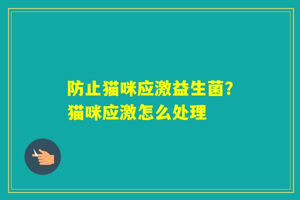 防止猫咪应激益生菌？猫咪应激怎么处理