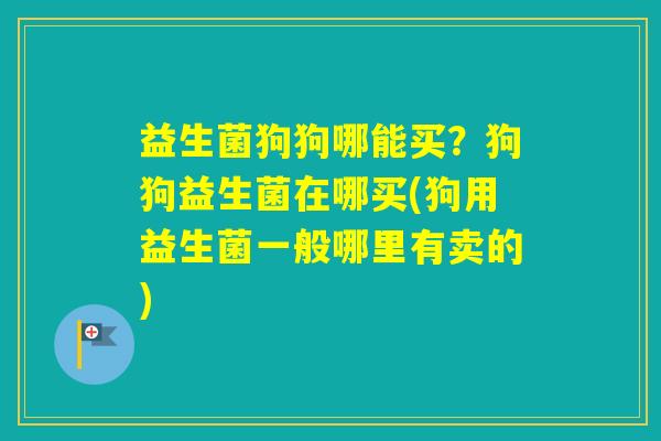 益生菌狗狗哪能买？狗狗益生菌在哪买(狗用益生菌一般哪里有卖的)