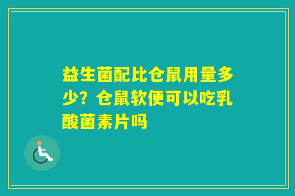 益生菌配比仓鼠用量多少？仓鼠软便可以吃乳酸菌素片吗