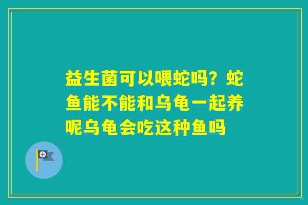 益生菌可以喂蛇吗？蛇鱼能不能和乌龟一起养呢乌龟会吃这种鱼吗