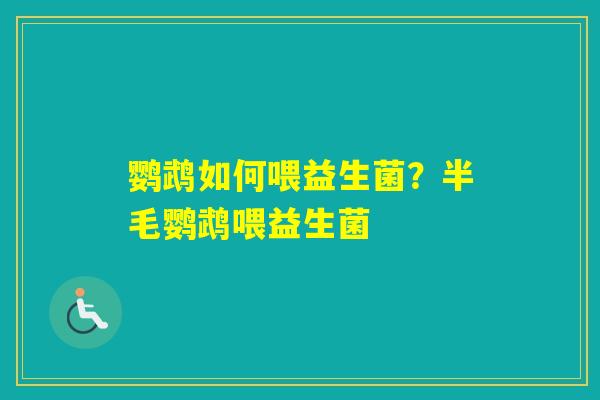 鹦鹉如何喂益生菌？半毛鹦鹉喂益生菌