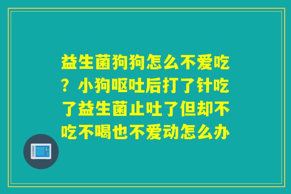 益生菌狗狗怎么不爱吃？小狗后打了针吃了益生菌止吐了但却不吃不喝也不爱动怎么办